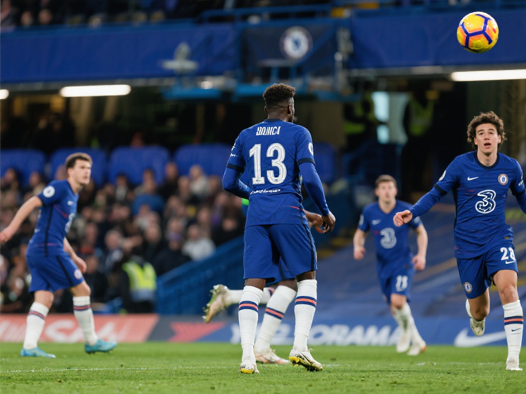 体关注的焦 体关注的焦